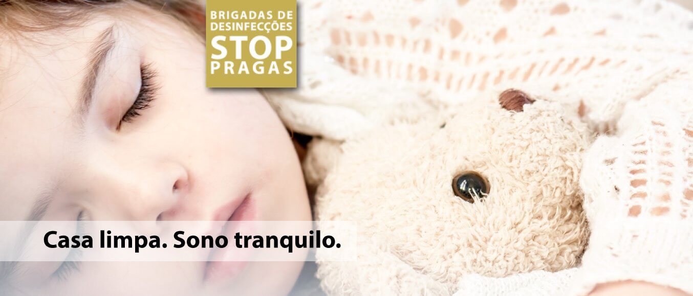 Brigadas de Desinfecções - eliminação de pragas