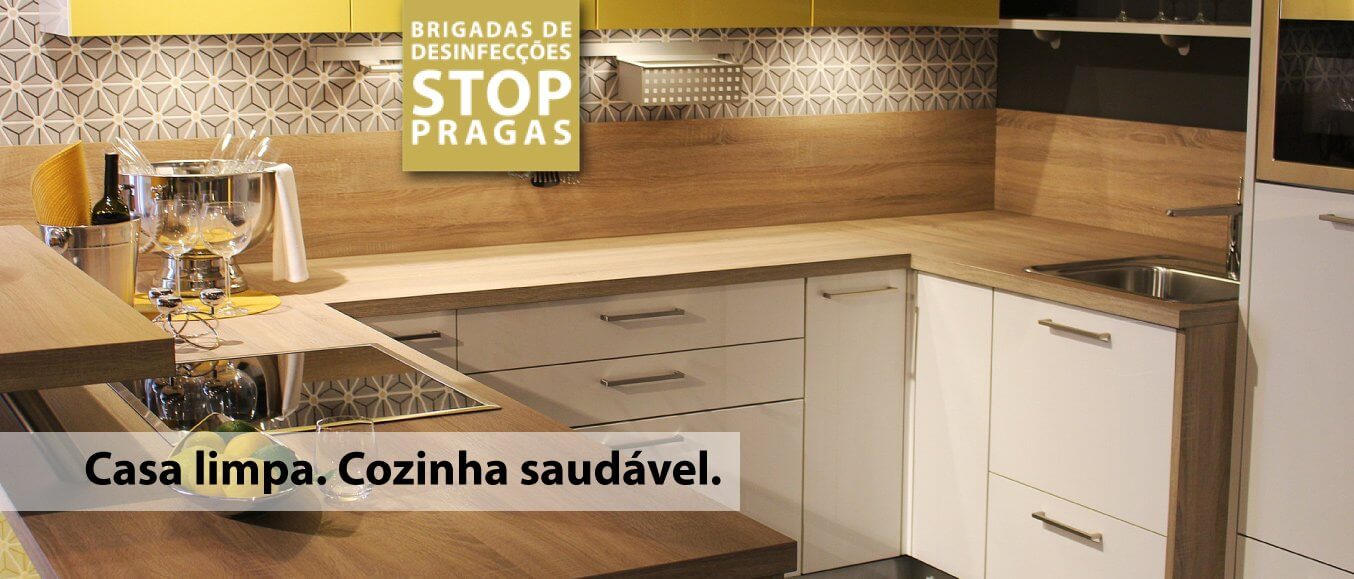 Brigadas de Desinfecções - eliminação de pragas