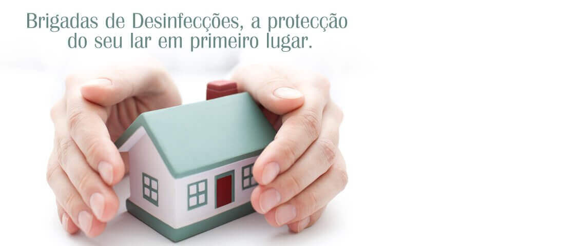 Brigadas de Desinfecções - eliminação de pragas