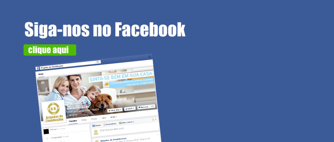 Brigadas de Desinfecções - eliminação de pragas Brigadas de Desinfecções - eliminação de pragas